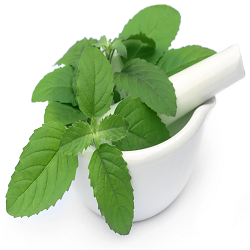 Indian Herbs