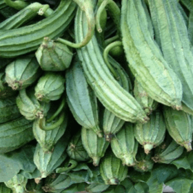 Fresh Vegetables