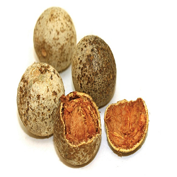 Dry Fruits sample