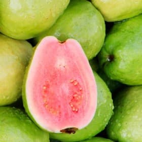 Fresh Fruits sample