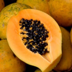 Fresh Fruits sample