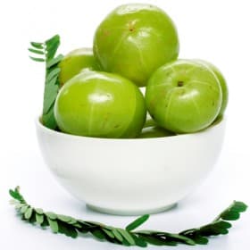 Indian Herbs sample