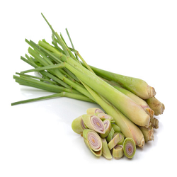 Indian Herbs sample