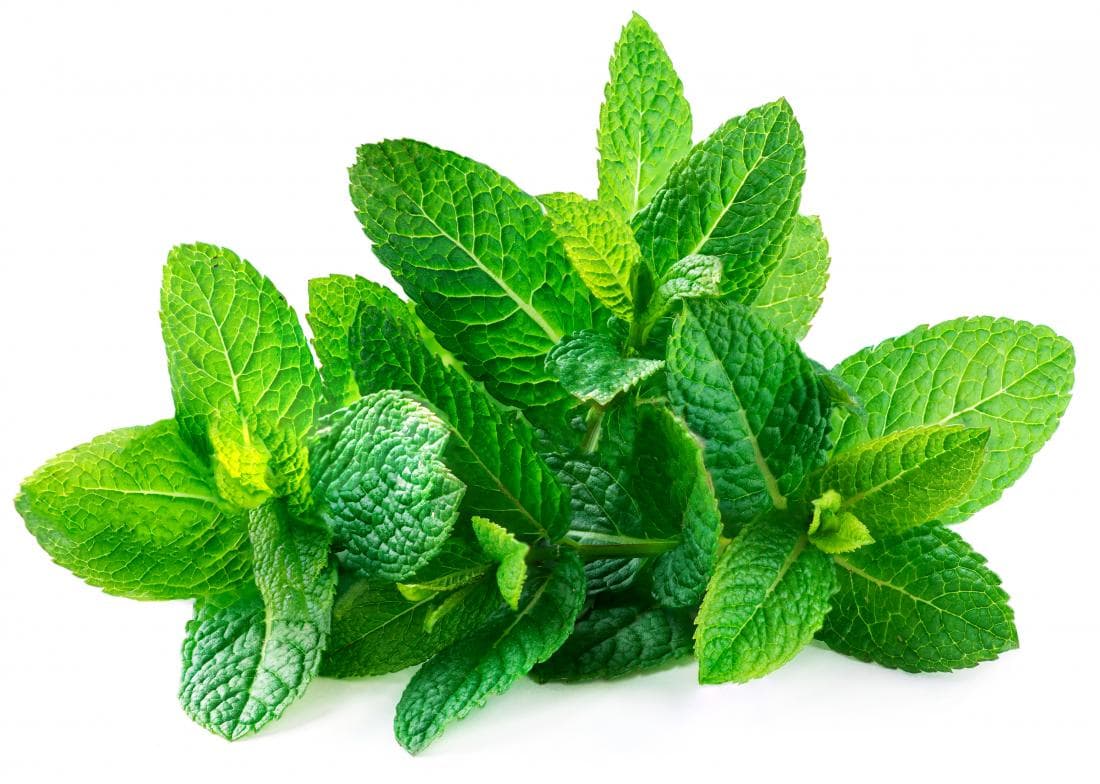 Premium Indian spices for export