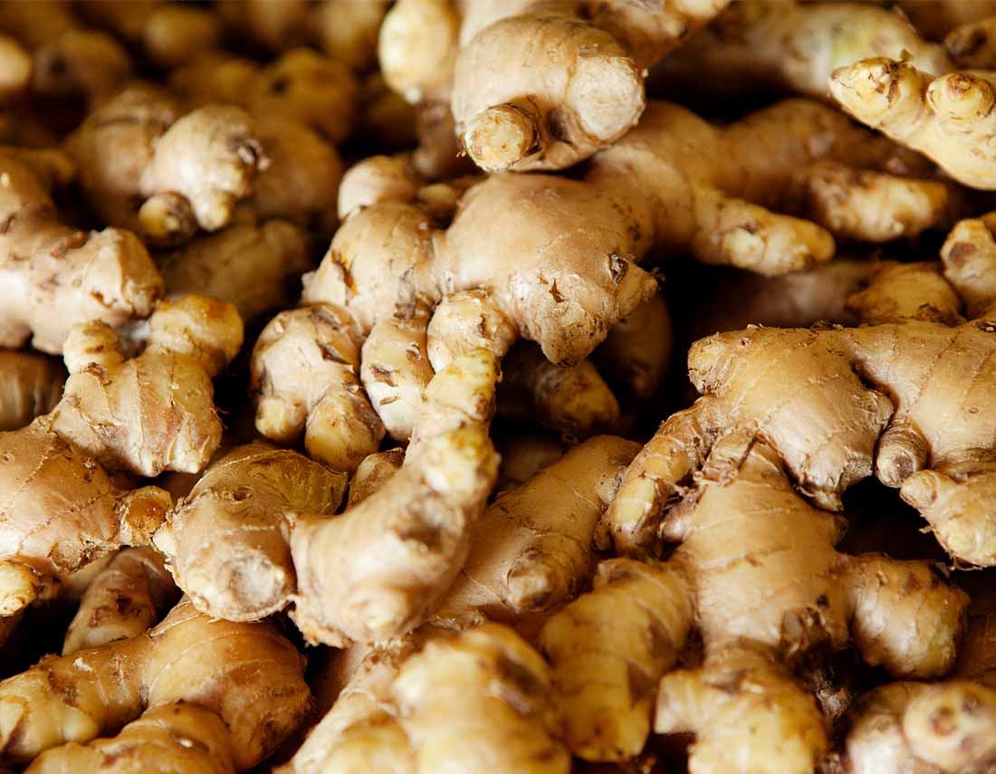 Indian Spices sample
