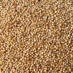Healthy Millets sample