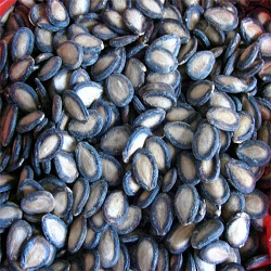 Nuts & Nut Products sample