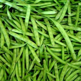 Fresh Vegetables sample