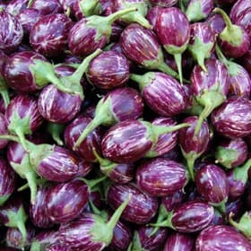 Fresh Vegetables sample