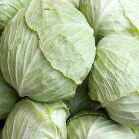 Fresh Vegetables sample
